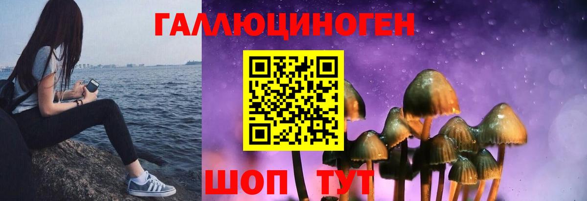 Галлюциногенные грибы Cubensis Мариинск
